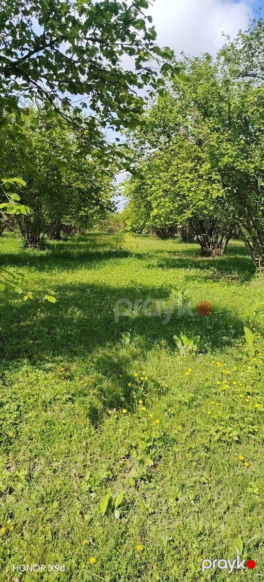 1.9 sot torpaq sahəsi, Qax r — Torpaq, Qax (6)