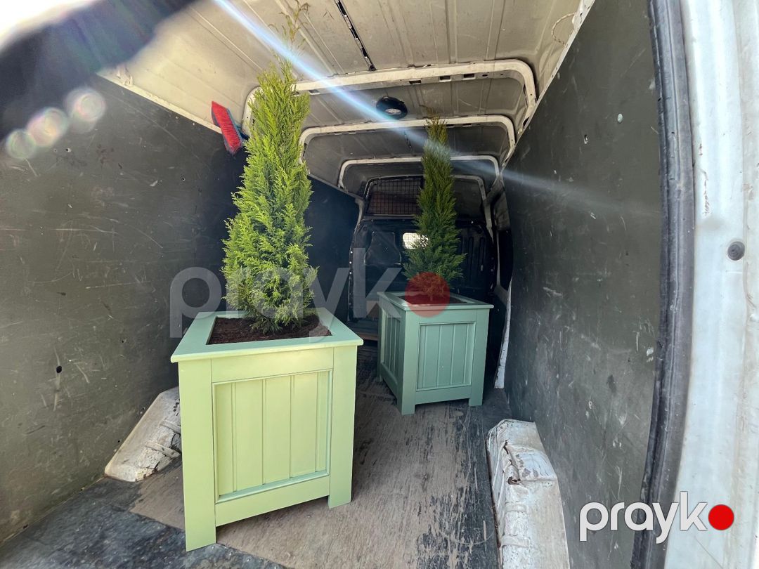 Premium dibçəklər — Bitkilər, Bakı (2)