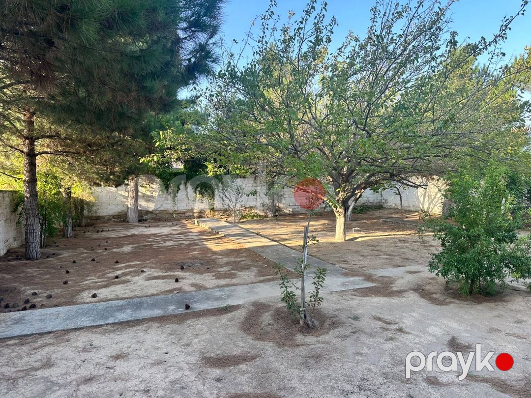 3 sot torpaq sahəsi, Novxanı qəs — Torpaq, Bakı (7)
