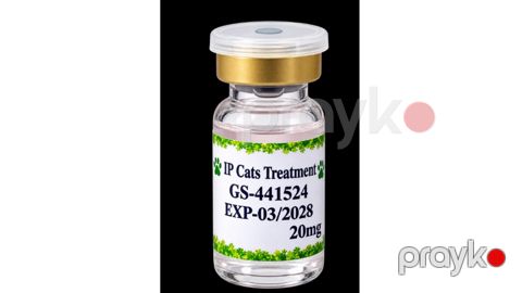 GS-441524 Pişiklərin FIP müalicəsi — Bakı