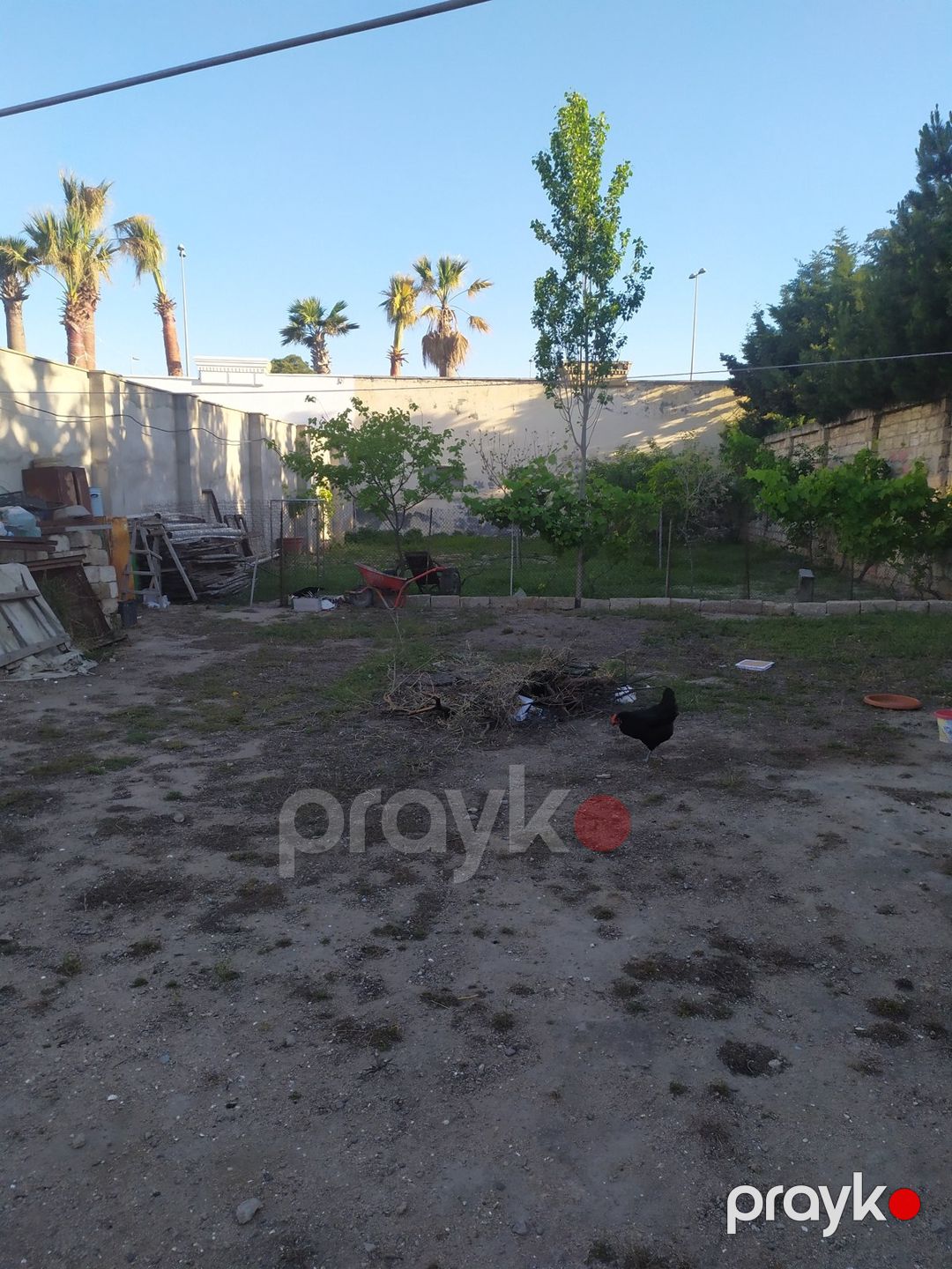 Satılır torpaq 2 sot — Torpaq, Bakı (3)