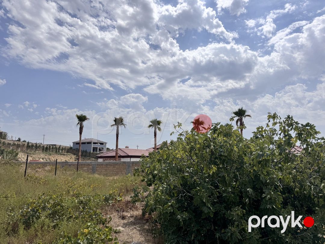 Satılır torpaq 18 sot — Torpaq, Bakı (6)