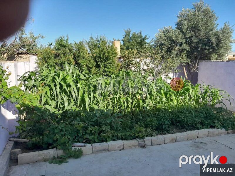 Qaradağ rayonunda 3 otaqlı Həyət evi Satılır, 600 m² — Ev, villa, Bakı (7)
