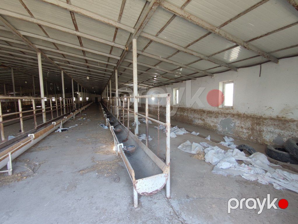 Satılır obyekt 40000 m² — Əmlak, Bakı (3)