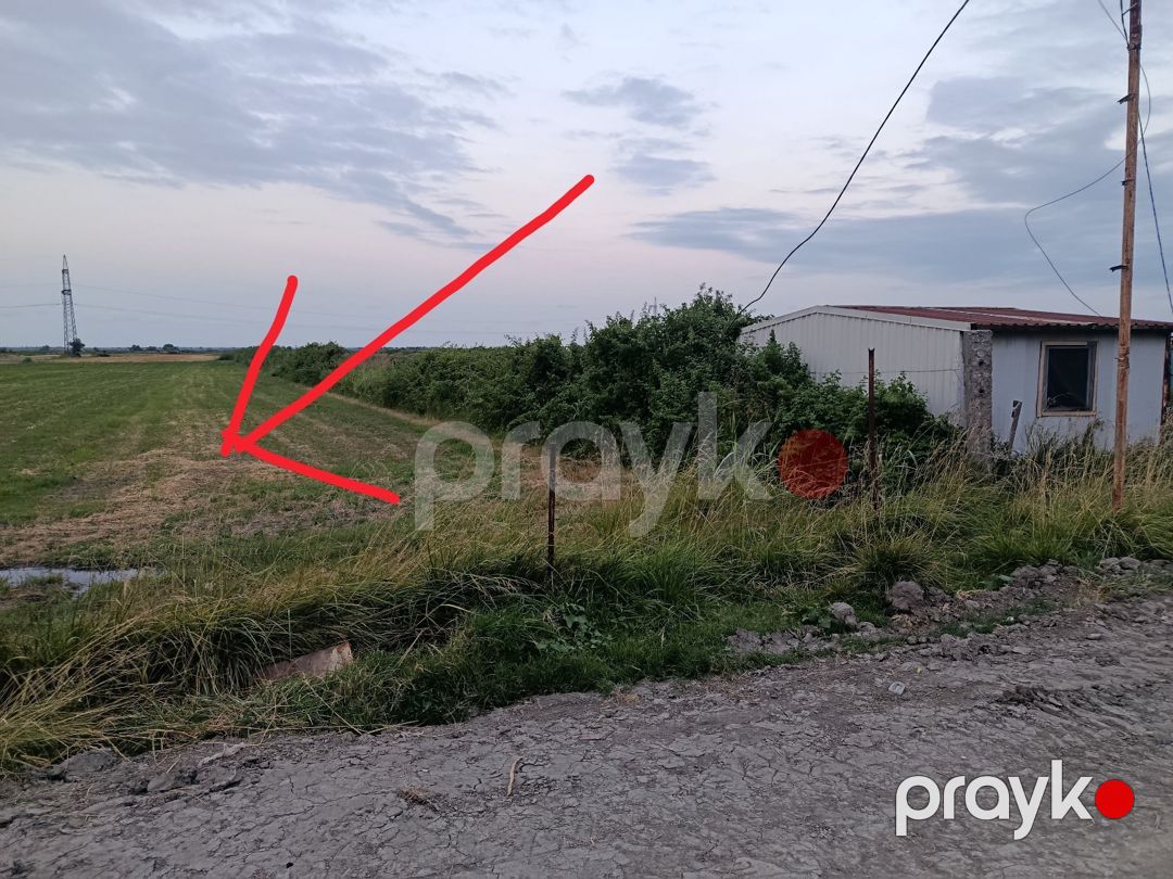2.57 sot torpaq sahəsi, Şabran r — Torpaq, Şabran (8)