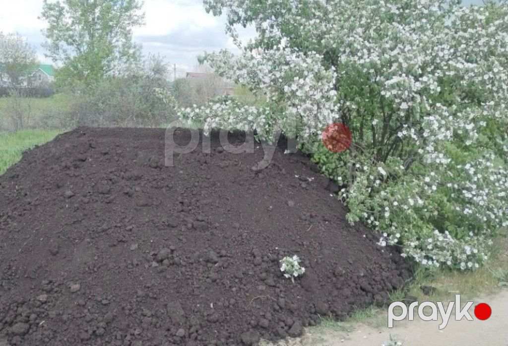 Qara torpaq və peyin — Dacha və bağ, İsmayıllı (9)