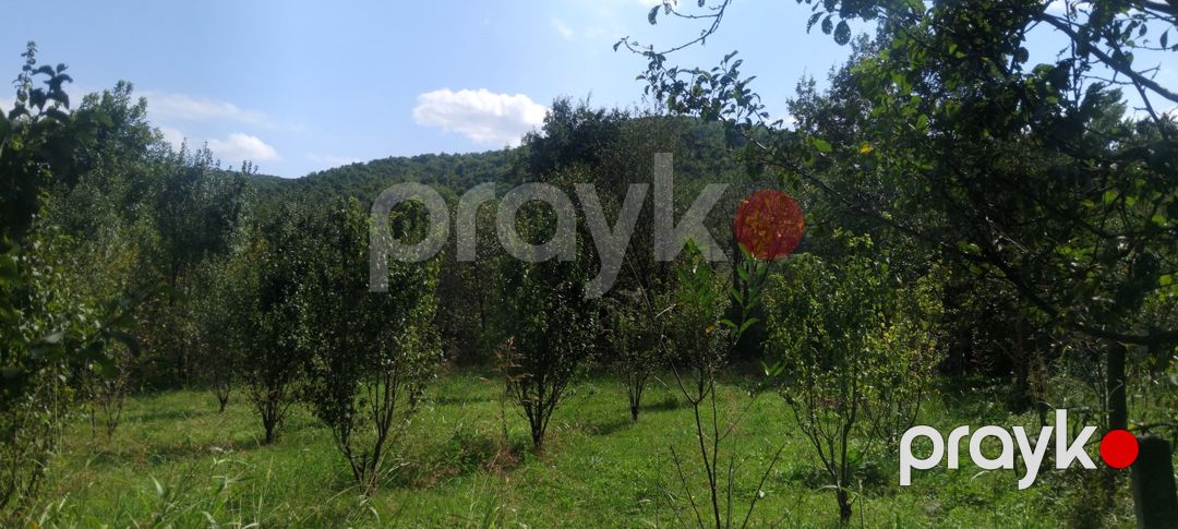 8 sot torpaq sahəsi, 2-ci Nügədi kəndi — Torpaq, Quba (5)