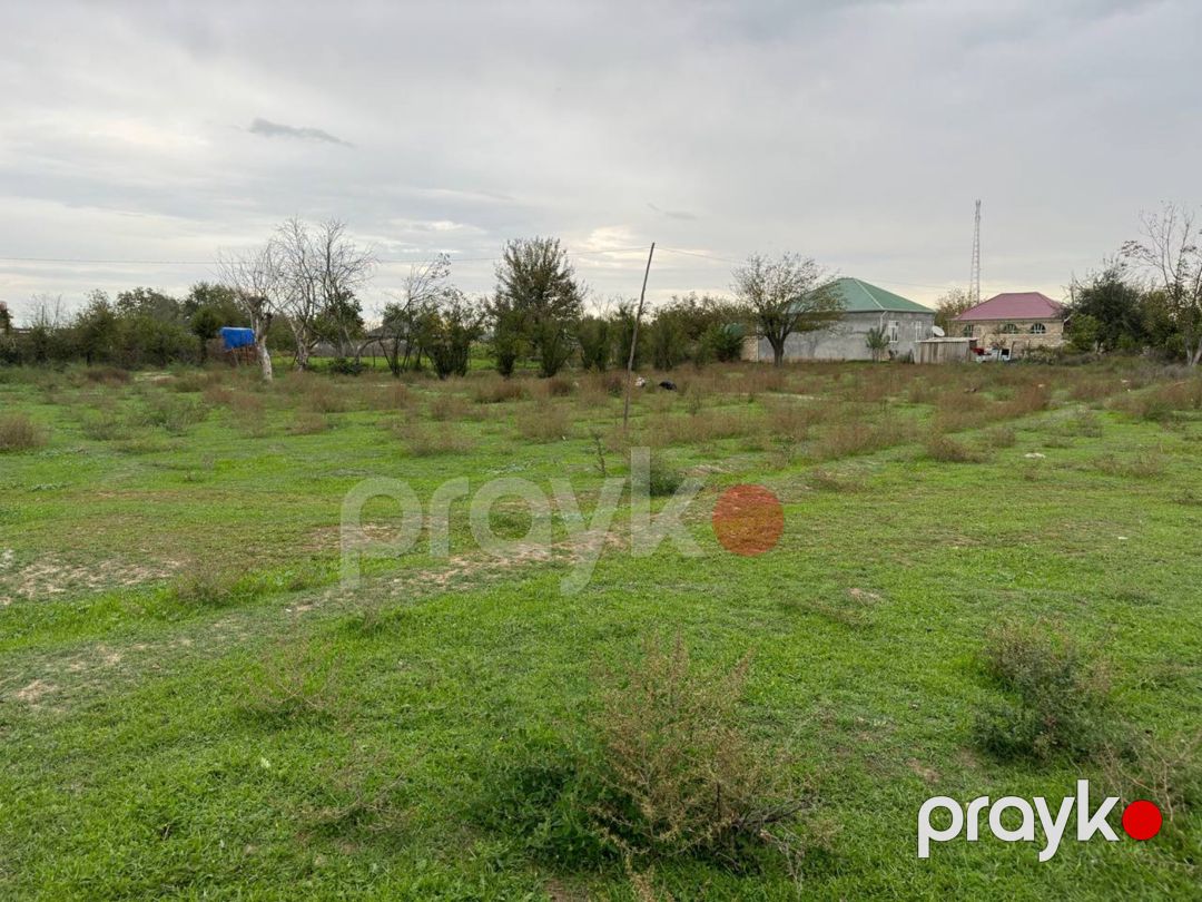50 sot torpaq sahəsi, Ağcabədi r — Torpaq, Ağcabədi (5)