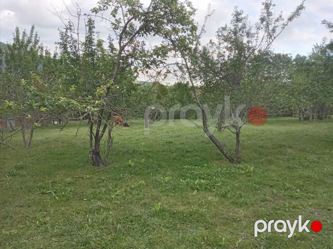 21 sot torpaq sahəsi, İsmayıllı r — Torpaq, İsmayıllı (6)