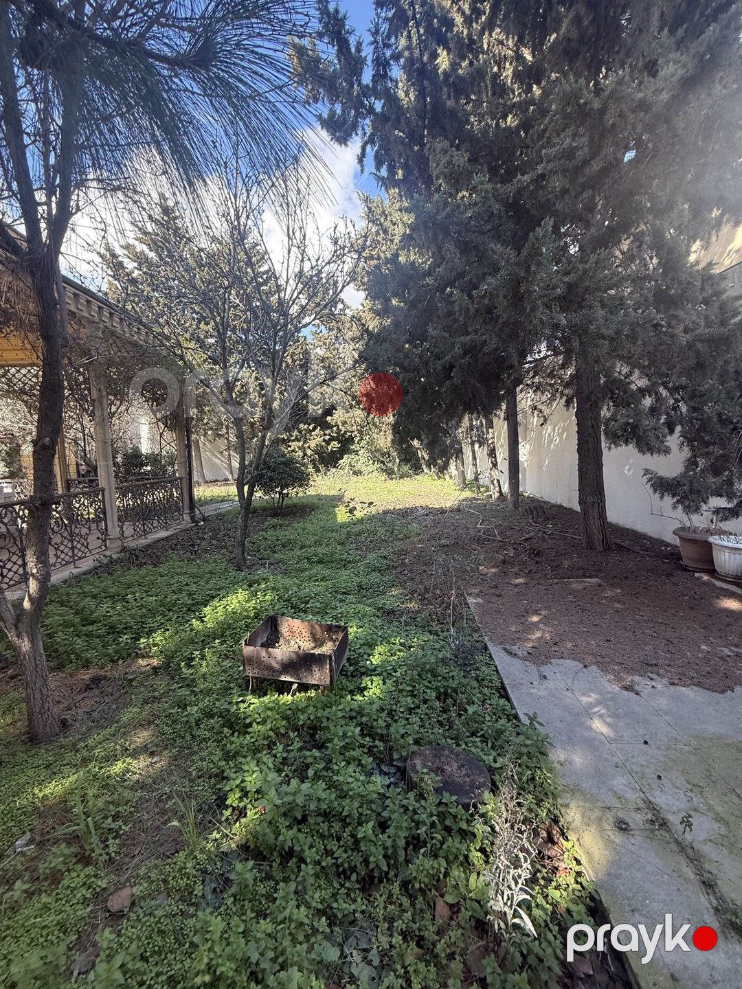 Satılır torpaq 8.9 sot — Torpaq, Bakı (7)