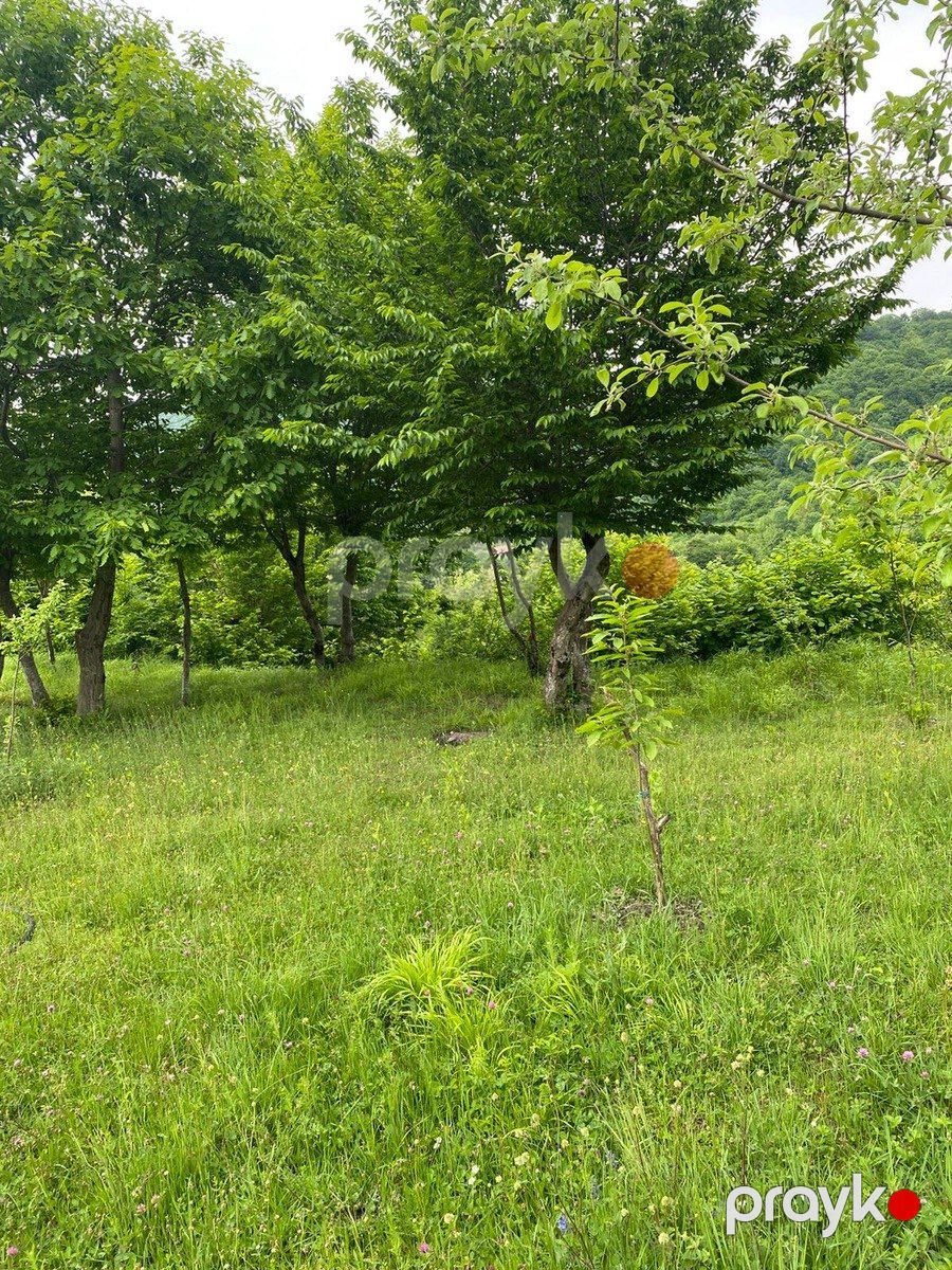 İcarəyə verilir 4 otaqlı həyət evi/bağ evi 100 m² — Ev, villa, İsmayıllı (3)
