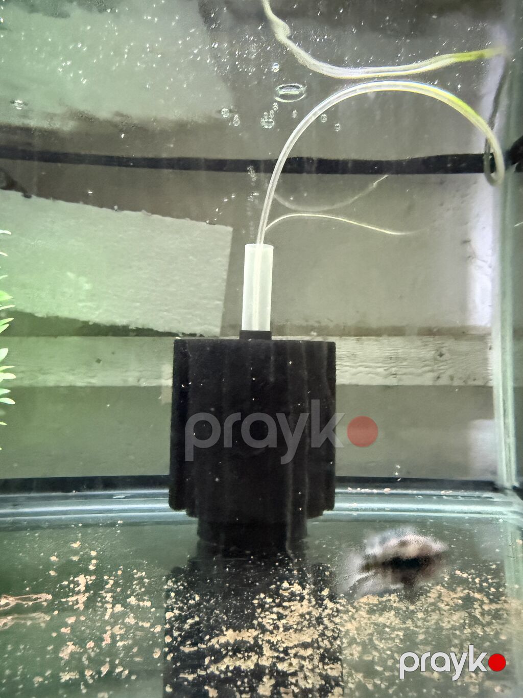 Dördbucaq akvarium, Boş, 190 l, Ünvandan götürmə — Akvariumlar və balıqlar, Bakı (4)