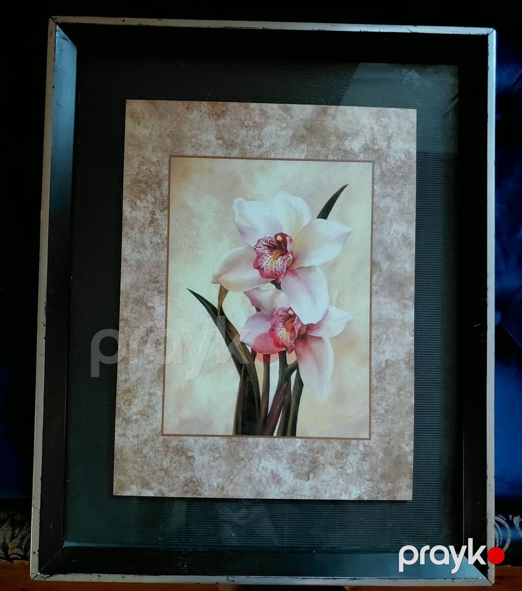 Çərçivəli dekorativ tablo – orkide çiçəyi təsviri Ölçü: 42×54 Xahiş — Şəkillər, plakatlular və çərçivələr, Masazır