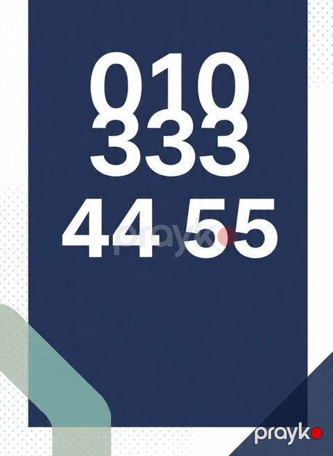 Nömrə: 010 3334455 Yeni — Saray