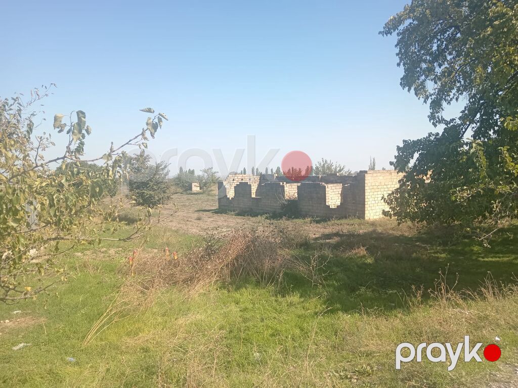Biznes üçün — Torpaq, Bakı (4)