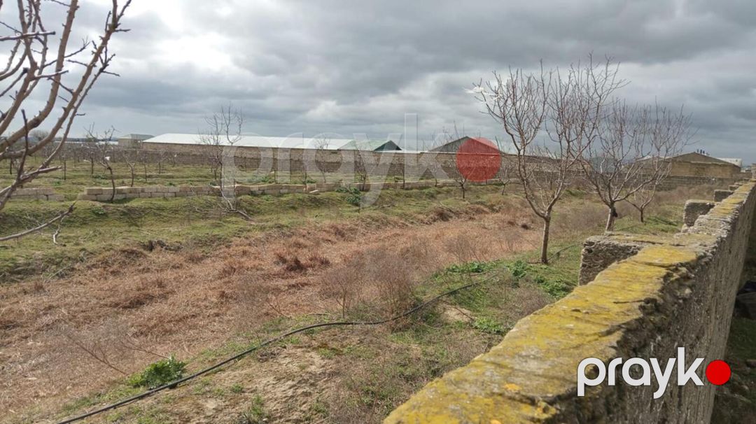 Satılır torpaq 130 sot — Torpaq, Bakı (4)
