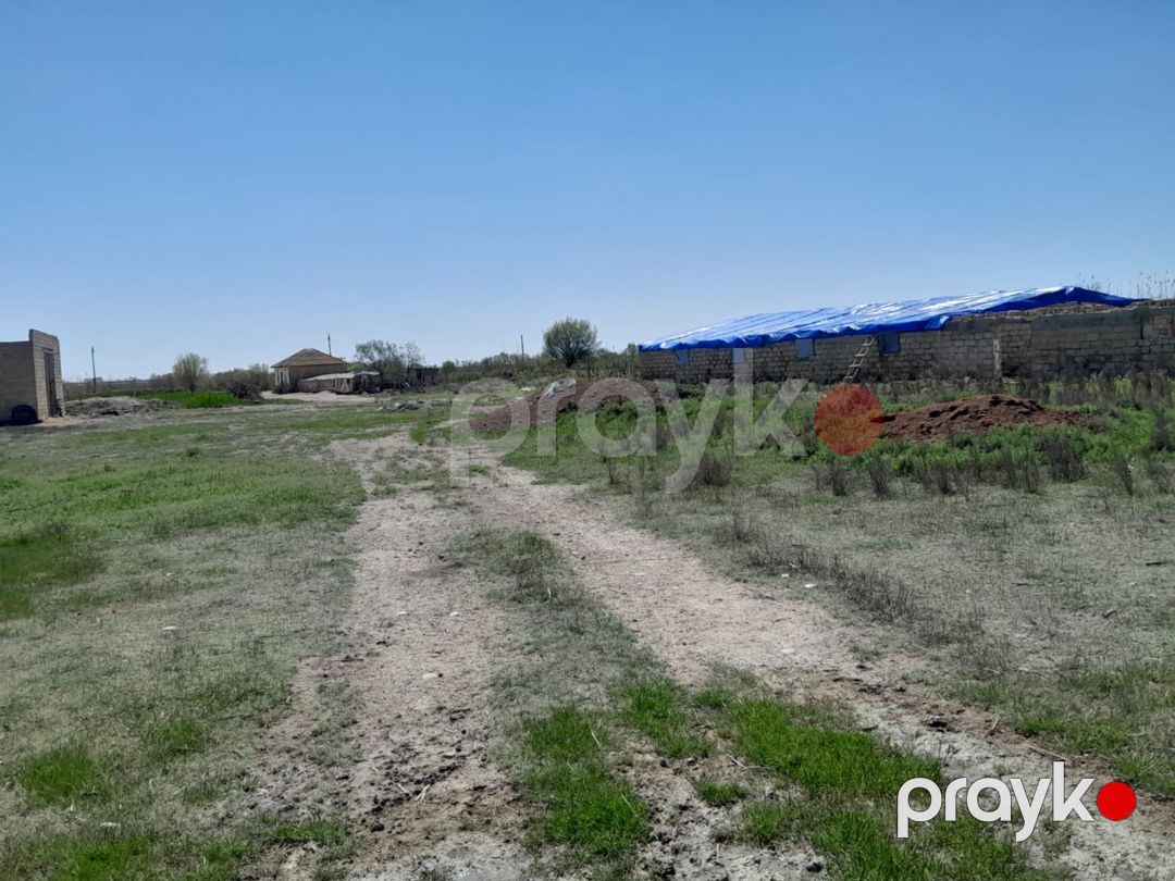 8 sot torpaq sahəsi, Salyan r — Torpaq, Salyan (2)