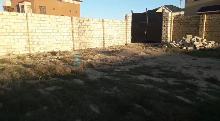 Satılır: Torpaq, Abşeron r., Saray q., 6.00 sot — Torpaq, Saray (4)