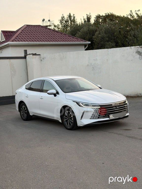 BYD Destroyer 05, 1.5 L, 18.3 kWh, 2024 il, 94 000 km — Avtomobillər, Bakı (3)