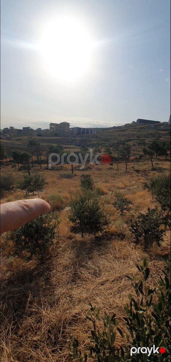 6 sot torpaq sahəsi, Şıxov qəs — Torpaq, Bakı (8)