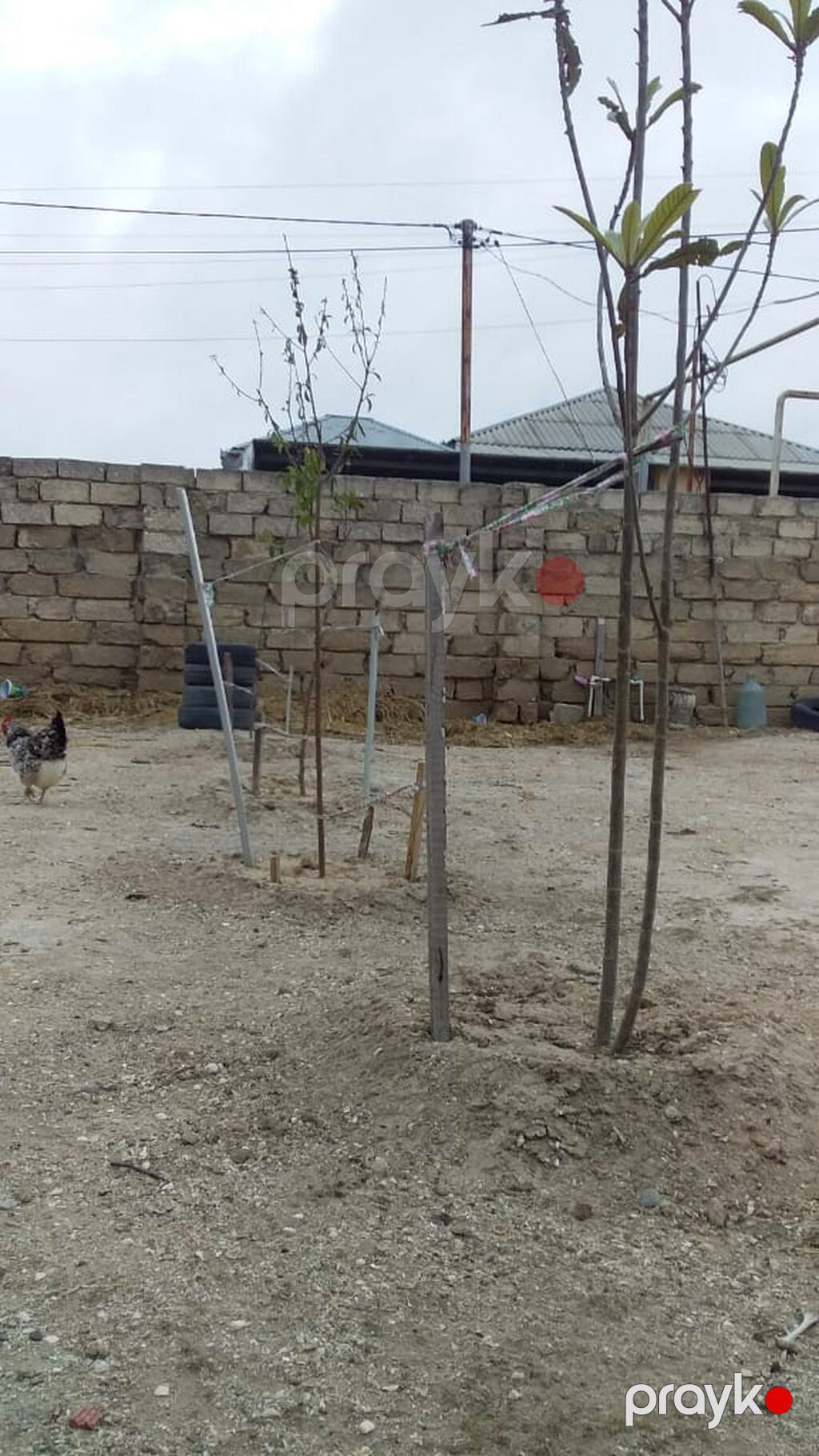 70 kv. m, 2 otaqlı — Ev, villa, Bakı (5)