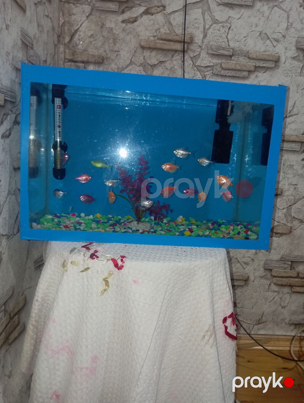 *Akvaryum Satılır - Mərdəkan* Ölçü: Eni 46 sm / Uzunluğu 30 sm — Akvariumlar və balıqlar, Bakı (3)