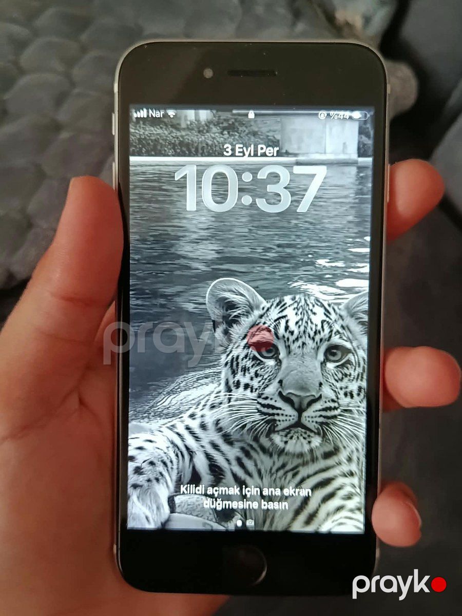 Apple iPhone SE (2020) White 64GB/3GB — Smartfonlar, Bakı (2)