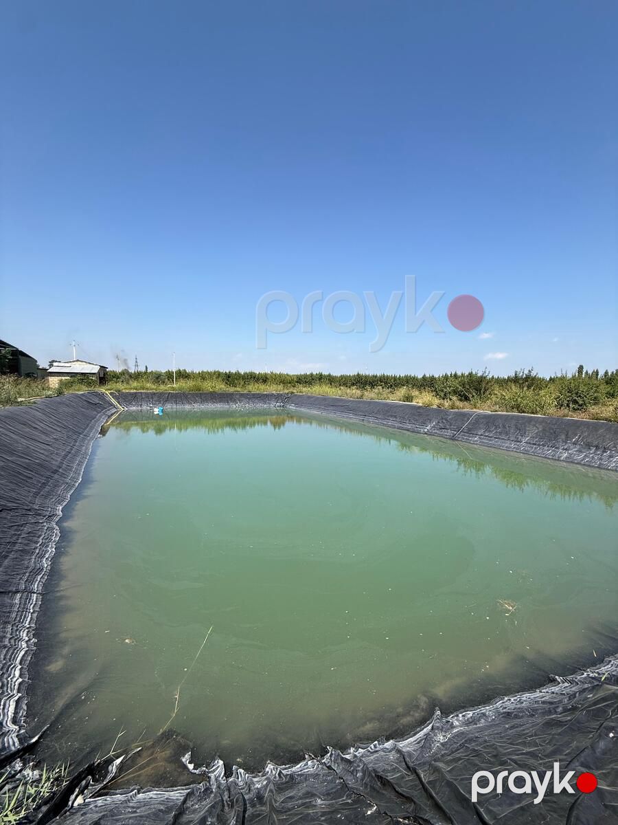 Satılır obyekt 40000 m² — Əmlak, Xaçmaz (12)