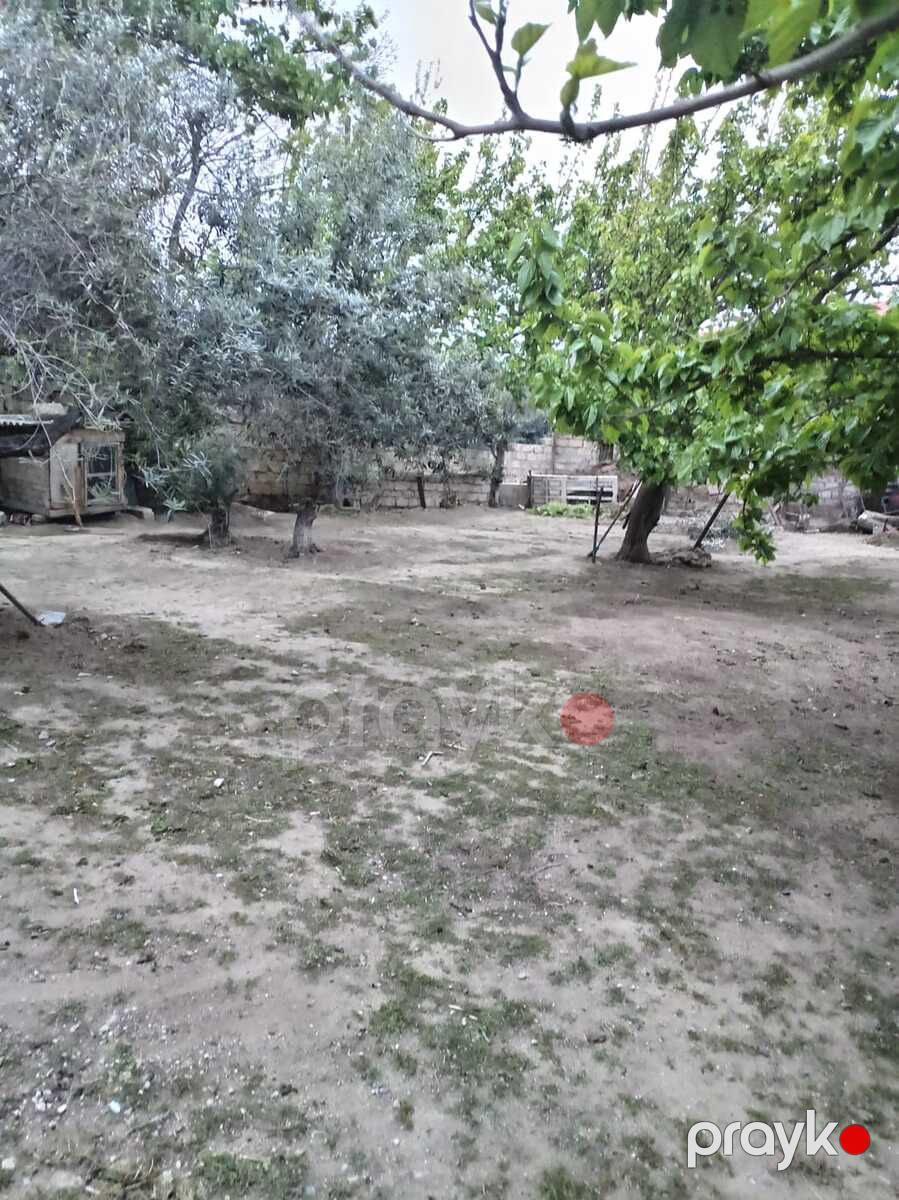 Satılır torpaq 4.5 sot — Torpaq, Bakı (2)