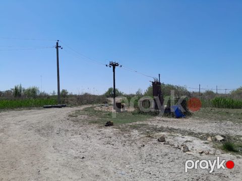 8 sot torpaq sahəsi, Salyan r — Salyan