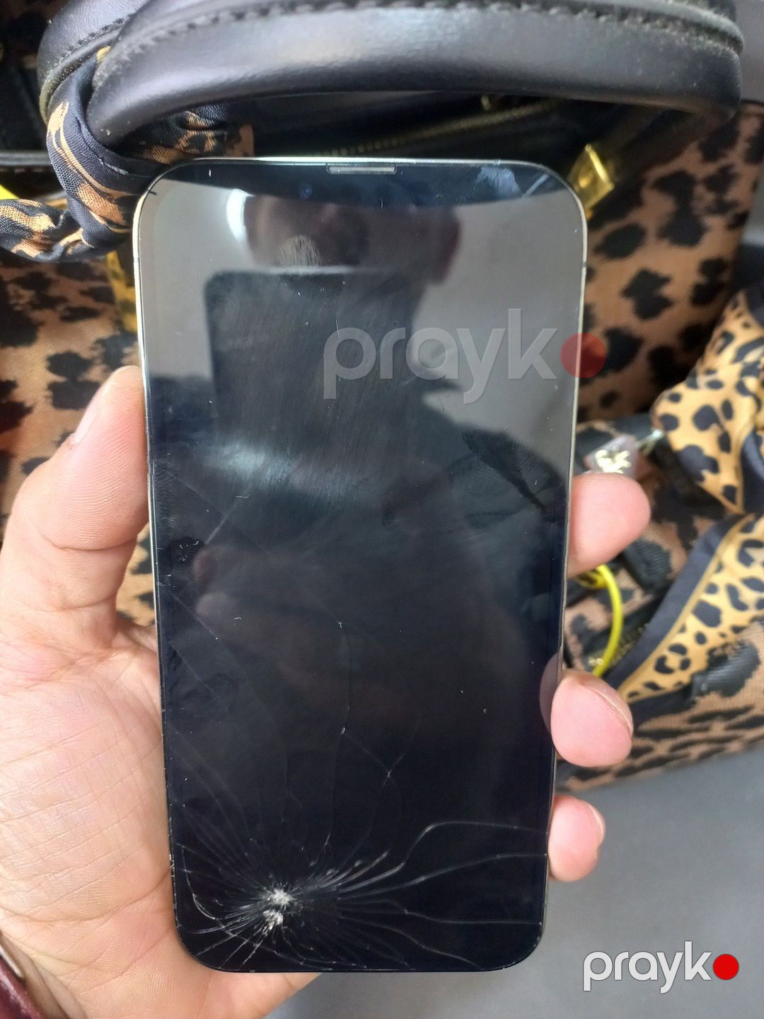 Apple iPhone 13 Pro Max Alpine Green 128GB/6GB — Smartfonlar, Bakı (5)