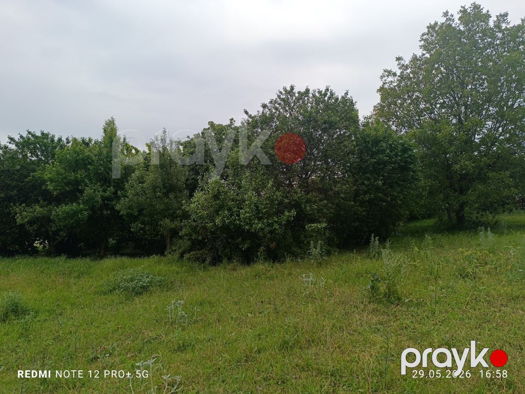 Həyət evi, İsmayıllı r — Ev, villa, İsmayıllı (5)