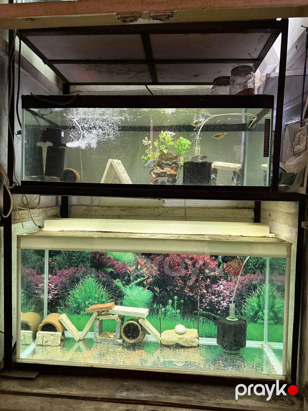 Dördbucaq akvarium, Boş, 190 l, Ünvandan götürmə — Akvariumlar və balıqlar, Bakı (2)