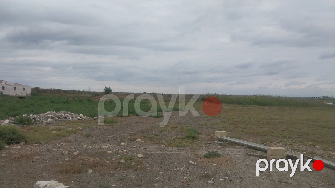 8 sot torpaq sahəsi, Salyan r — Torpaq, Salyan (8)