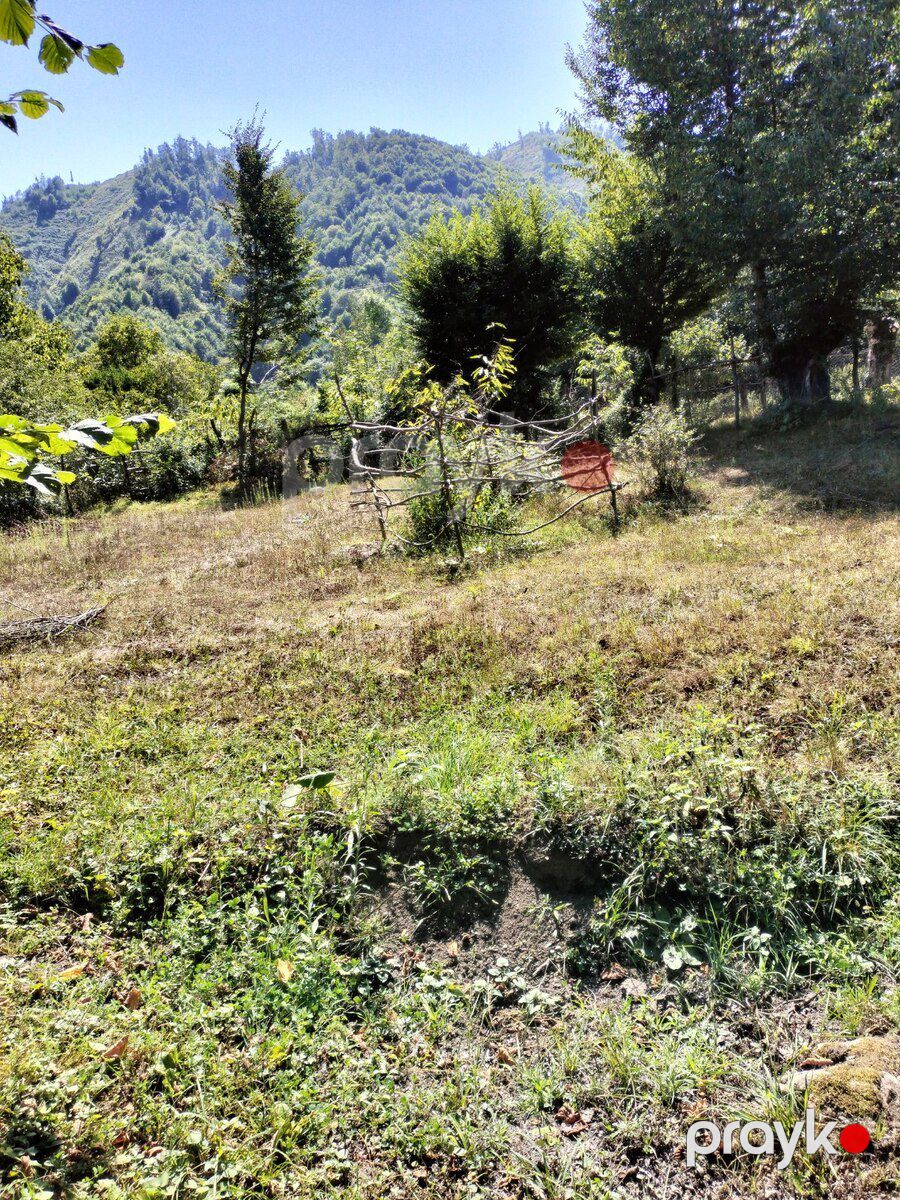 20 sot torpaq sahəsi, Qəbələ ş — Torpaq, Qəbələ (2)