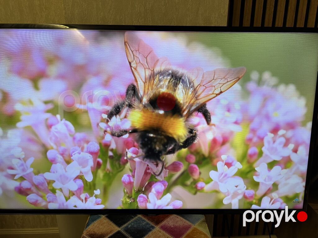 Samsung LED TV 48’ (122 sm.) ekran İdeal vəziyyətdə. Kronşteynlə — Televizorlar, Bakı (5)