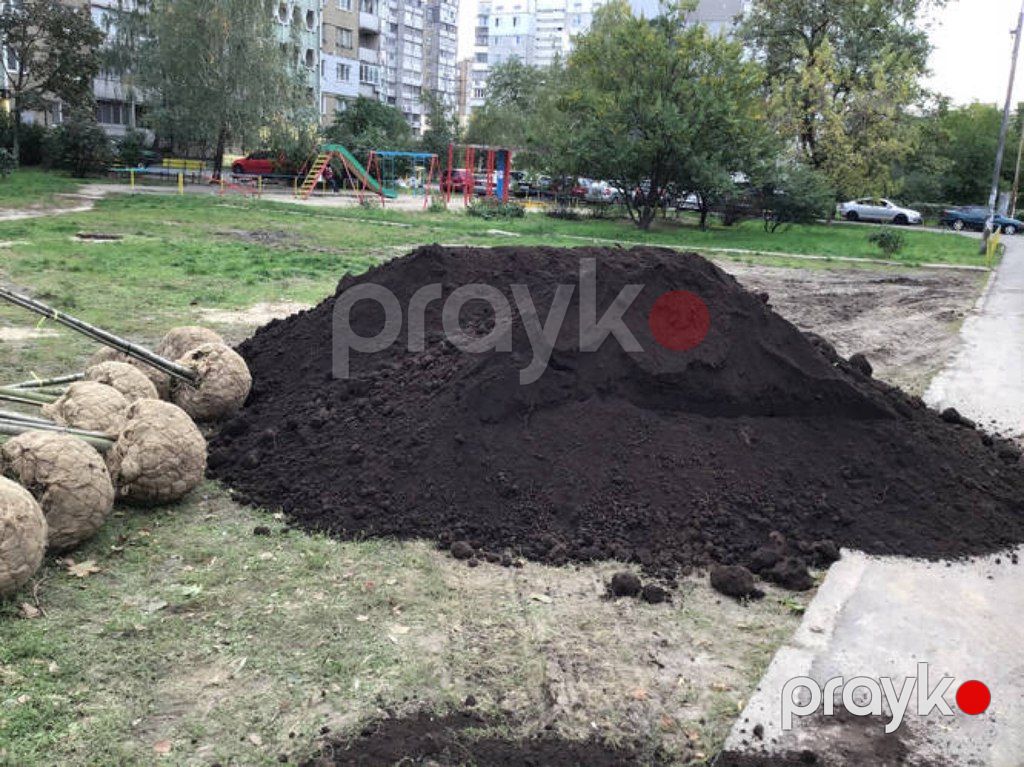 Qara torpaq və peyin — Dacha və bağ, İsmayıllı (8)