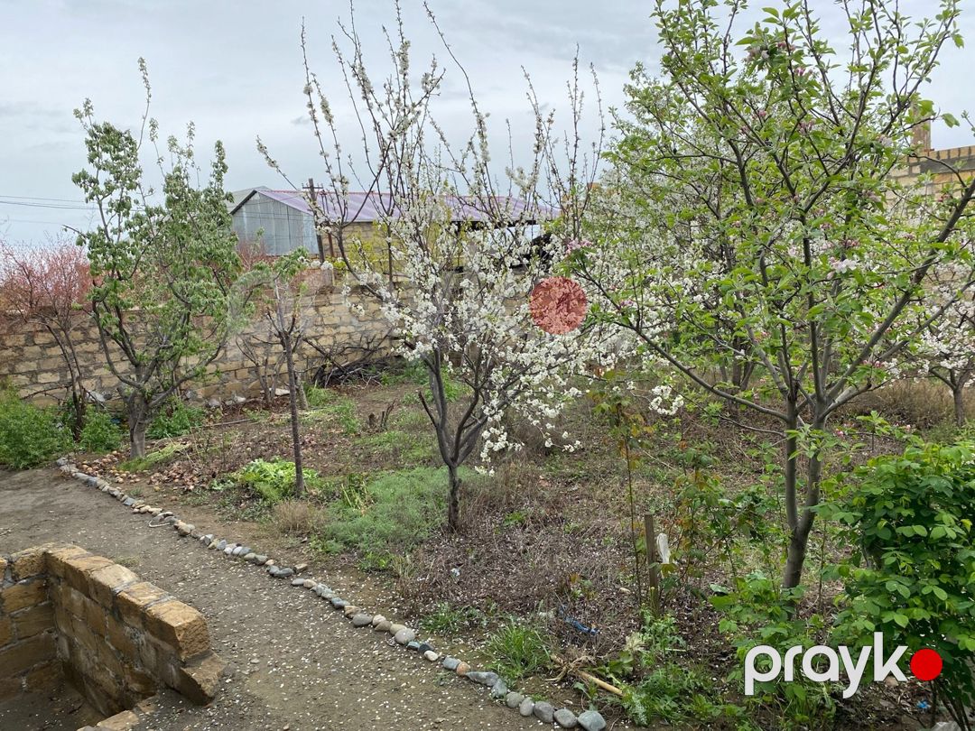 Bağ evi, Gəncə ş — Ev, villa, Gəncə (10)