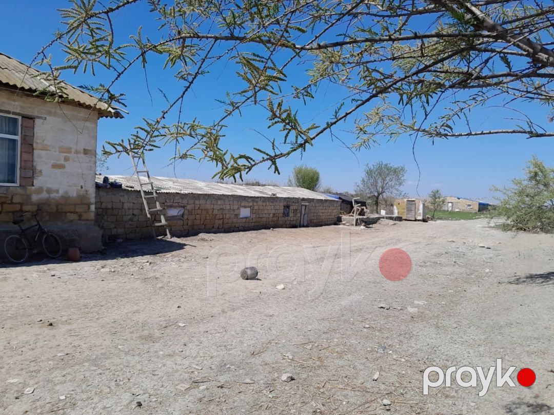 8 sot torpaq sahəsi, Salyan r — Torpaq, Salyan (3)