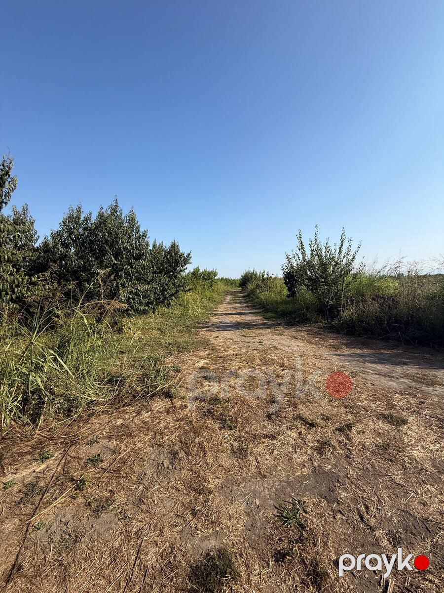Satılır obyekt 40000 m² — Əmlak, Xaçmaz (6)