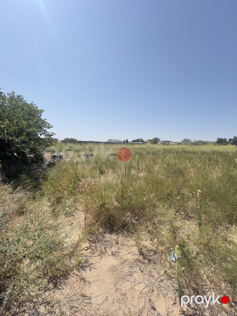 Satılır torpaq 132 sot — Torpaq, Bakı (8)
