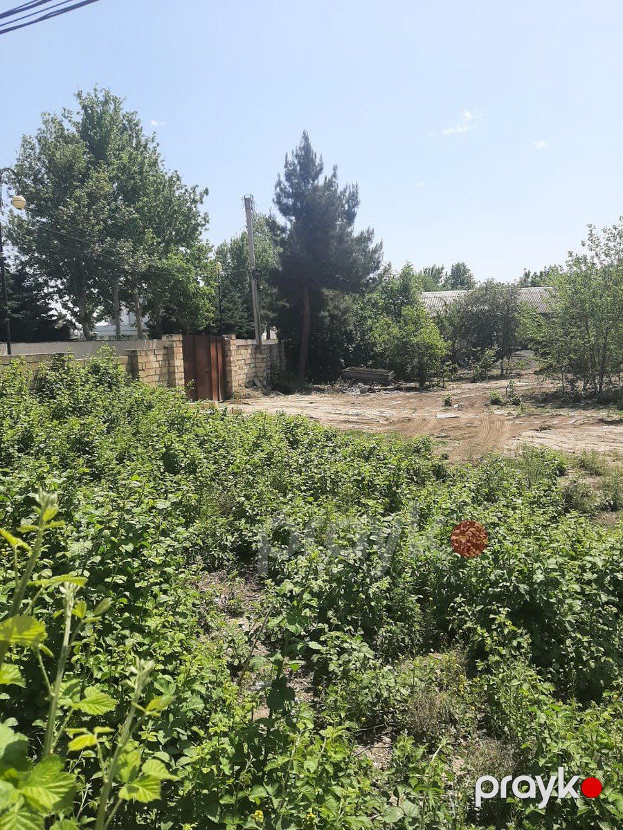 17 sot torpaq sahəsi, Mingəçevir ş — Torpaq, Mingəçevir (9)