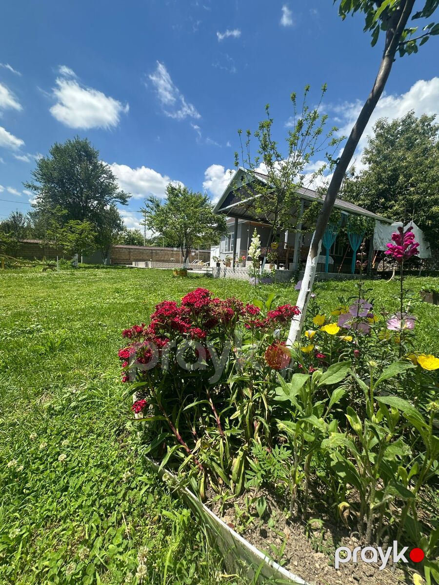 Həyət evi kirayə verilir, Qəbələ r — Ev, villa, Qəbələ (3)