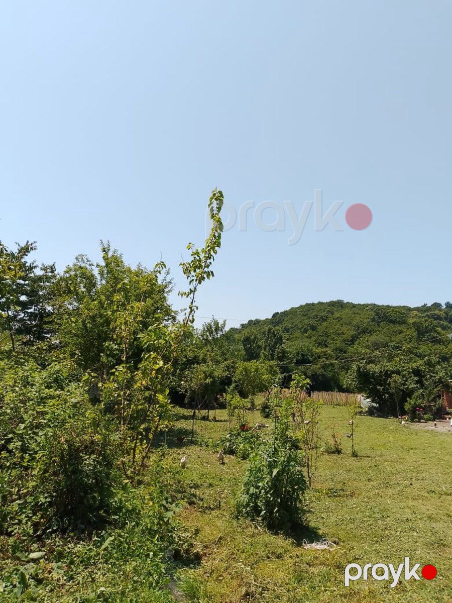 1000 sot torpaq sahəsi, Balakən r — Torpaq, Balakən (7)