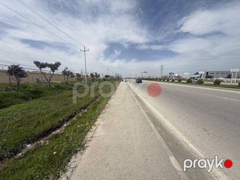255 sot torpaq sahəsi, Hökməli qəs — Bakı