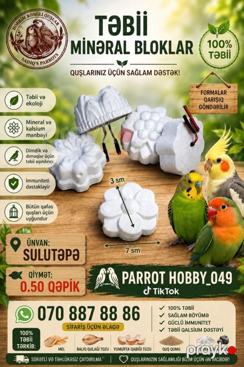 Təbii Mineral Bloklar – quşlarınız üçün sağlam dəstək Məhsul təsviri — Xırdalan