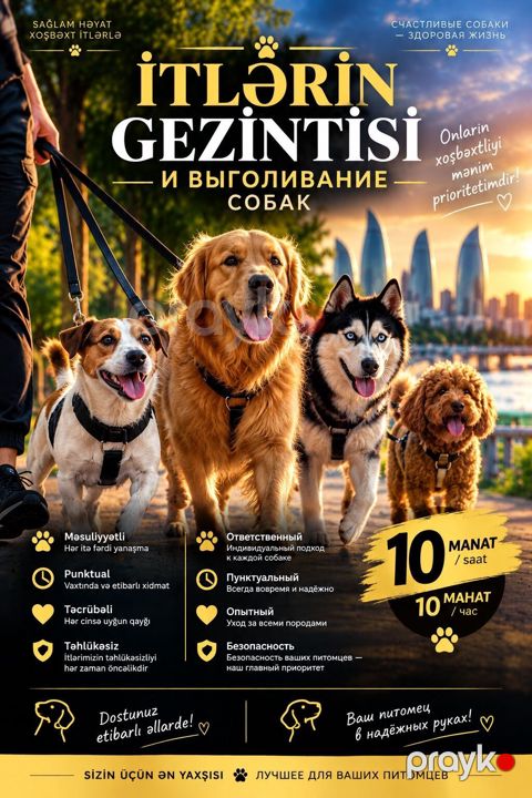 İtlərin Gəzdirilməsi Ev heyvanınızı gəzdirməyə hər zaman vaxtınız — Xırdalan