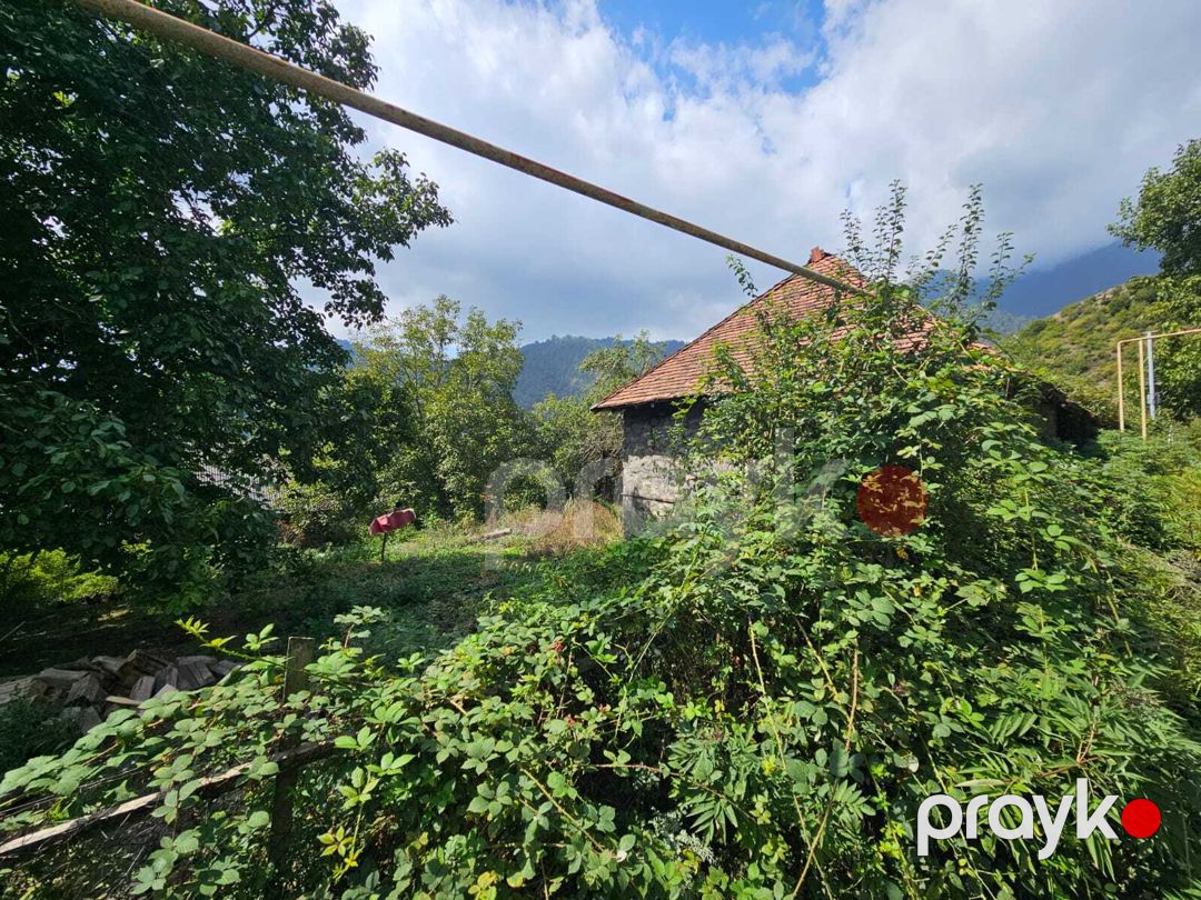 Satılır torpaq 11 sot — Torpaq, Qəbələ (2)