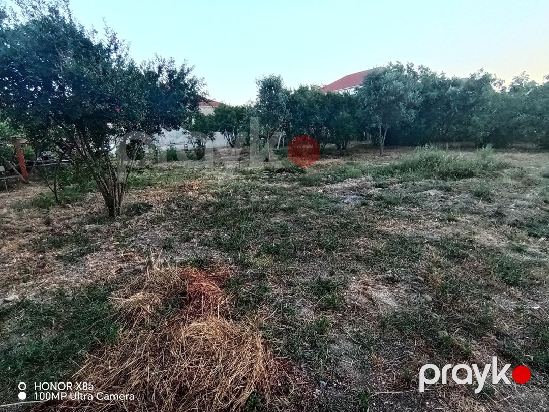 8 sot torpaq sahəsi, Novxanı qəs — Torpaq, Bakı (3)