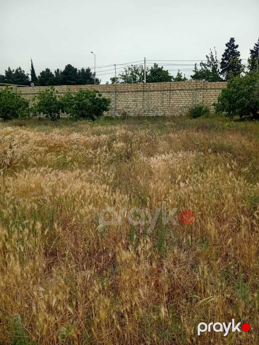 Satılır torpaq 24 sot — Torpaq, Bakı (5)